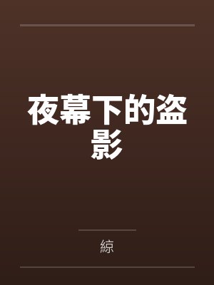 夜幕下的盗影